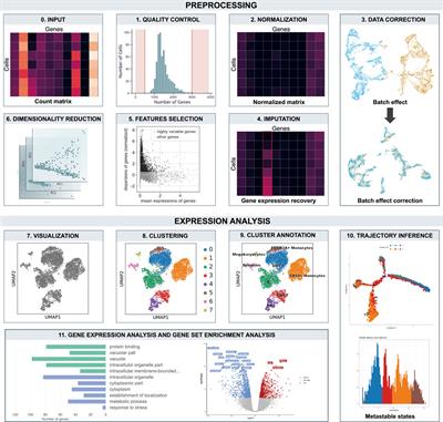 From multitude to singularity: An up-to-date overview of scRNA-seq data generation and analysis